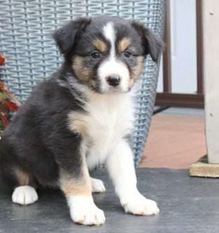 Mable