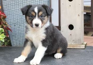 Mable