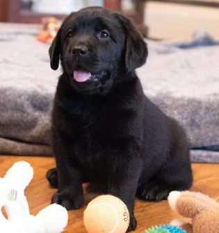 Maggie