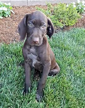 Nora