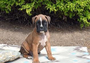 Gunther