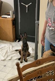 Kimber