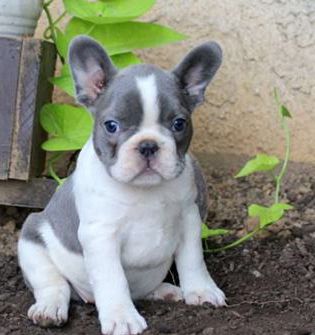 Lucy