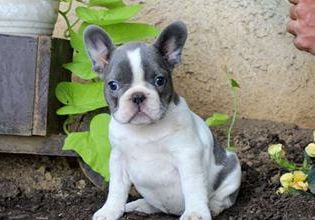 Lucy