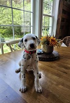 Max