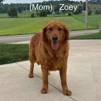 Lucy