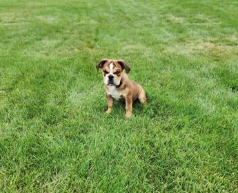 Shiloh