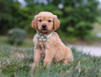 Winnie
