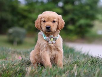 Winnie