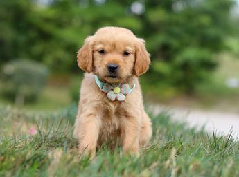 Winnie
