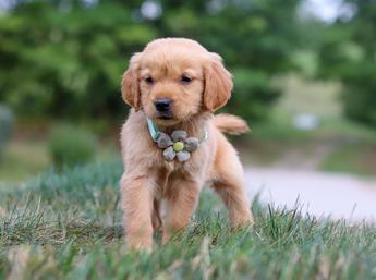Winnie