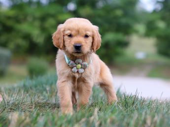 Winnie
