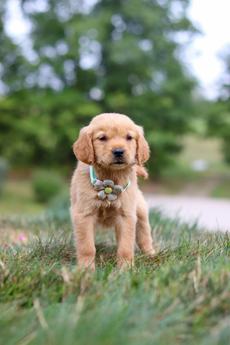 Winnie