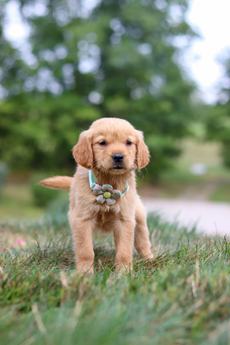 Winnie
