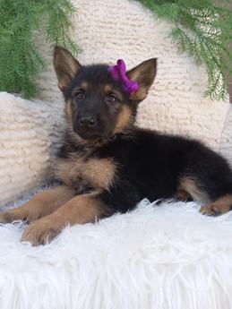 Chloe