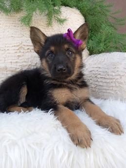 Chloe