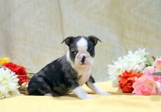Esther