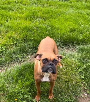 Betty