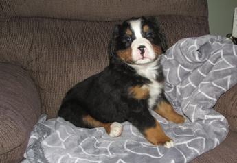 Molly