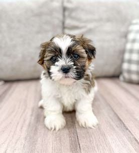 Ralph