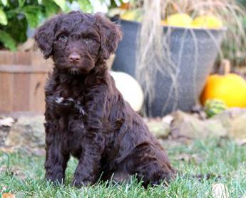 Charlie
