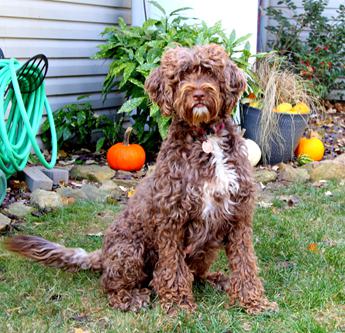 Charlie