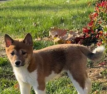 Fiona