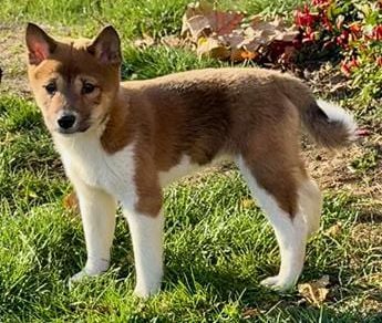 Fiona