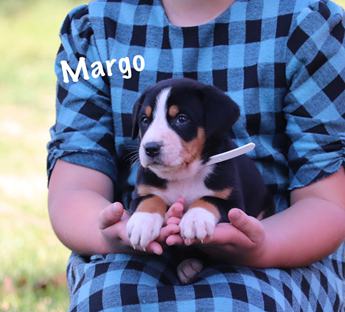Margo