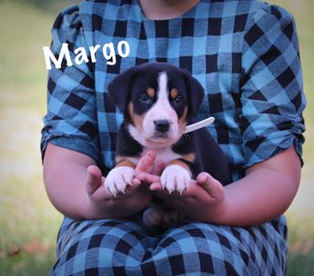 Margo
