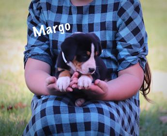 Margo