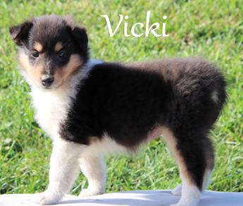 Vicki