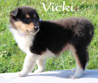Vicki