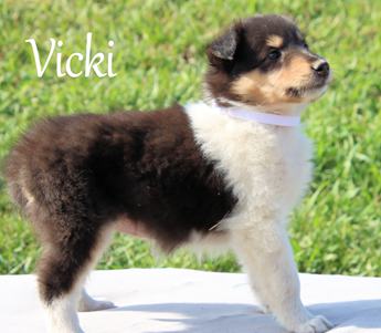 Vicki
