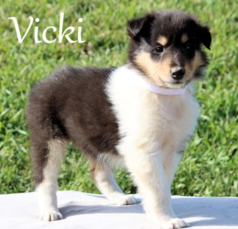 Vicki