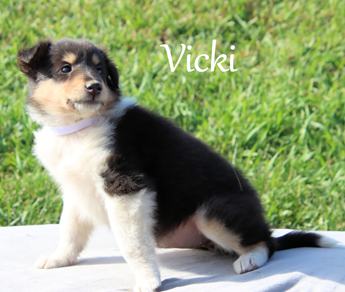 Vicki
