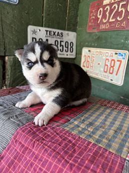Ares