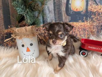 Lola