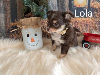 Lola