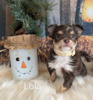 Lola