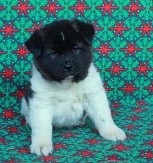 Marnie