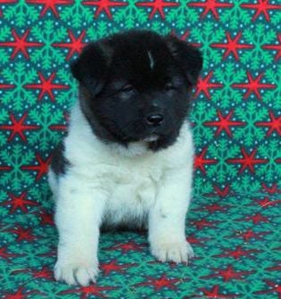 Marnie