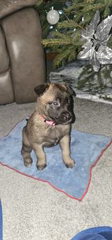 Nena