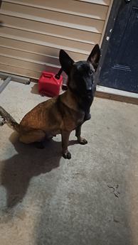 Nena