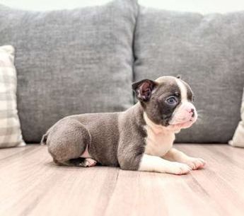 Roxy