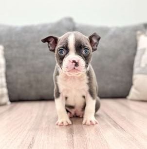 Roxy