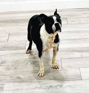 Roxy