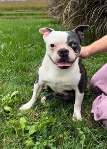 Roxy
