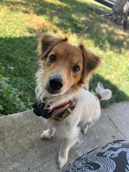 Bella