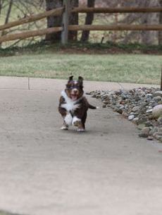 Coco